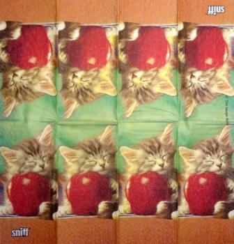 077 Cats - 3-ply - ppd - The Image Bank